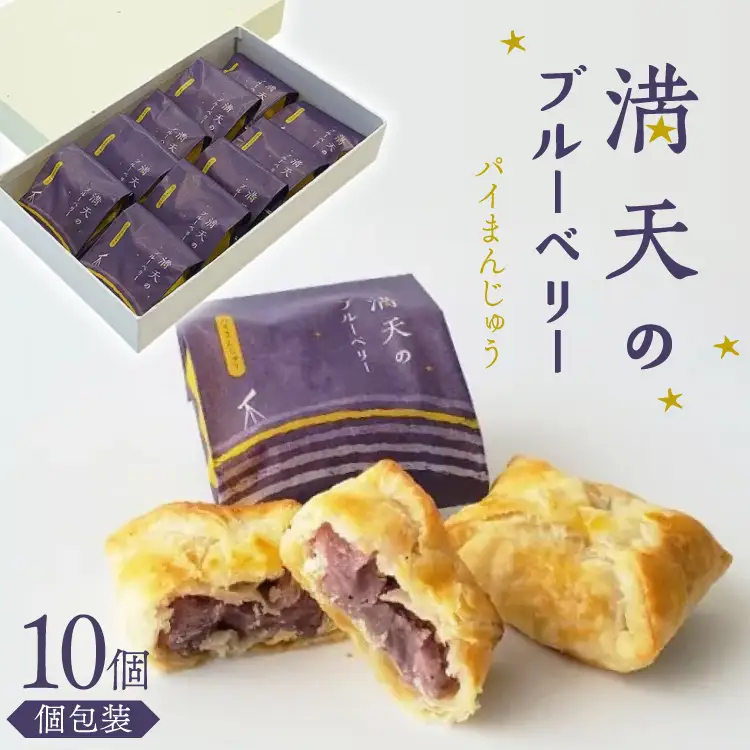 お菓子 個包装 満天のブルーベリー 10個入 [谷口製菓 石川県 宝達志水町 38601295] 