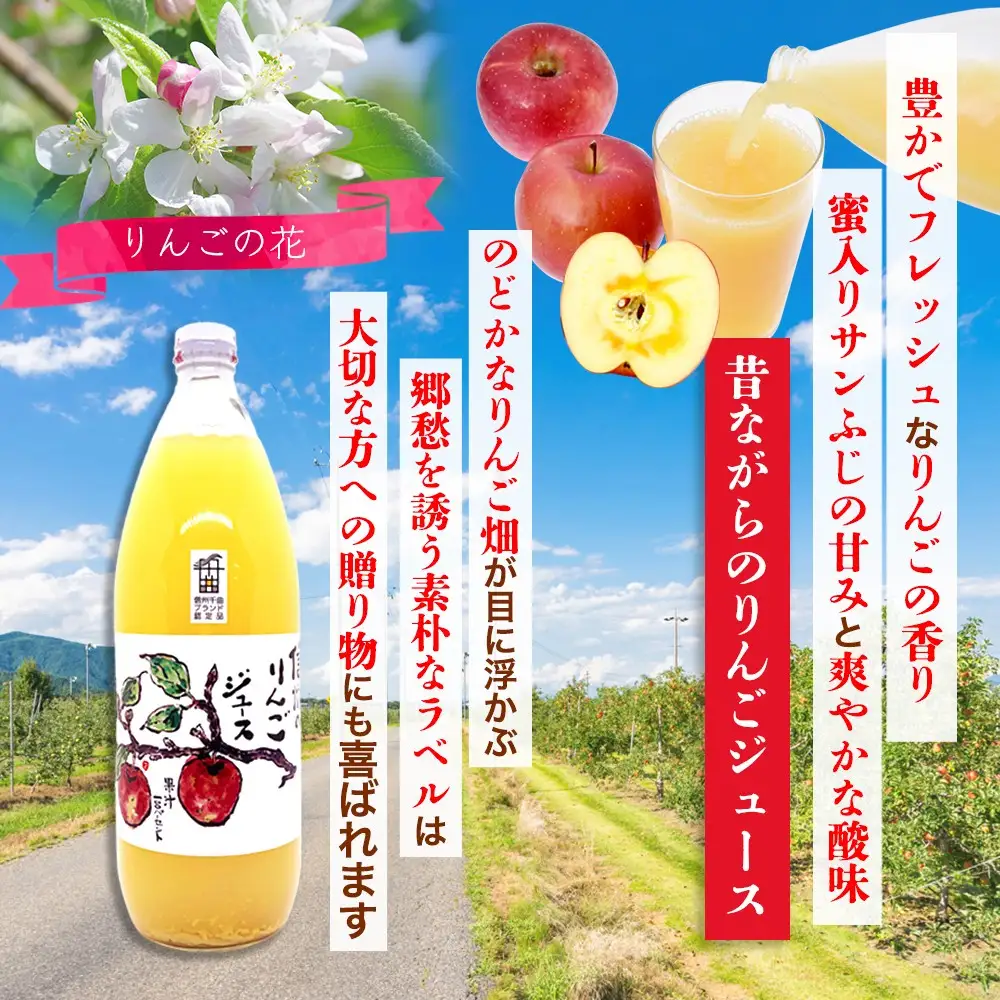 【3か月定期便】信州 サンふじ りんご ジュース 100％ 6本セット｜ りんご 千曲市 長野県