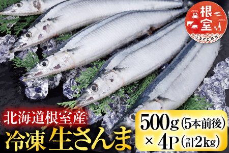 【北海道根室産】冷凍生さんま500g×4P（計2kg） A-19016