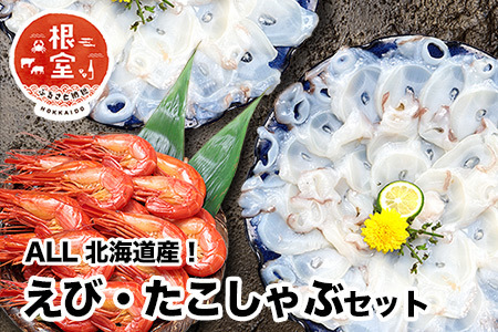【北海道根室産】シマエビ400g・タコしゃぶ250g×4Pセット B-24019