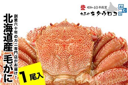 毛がに550g～650g前後×1尾 B-25027