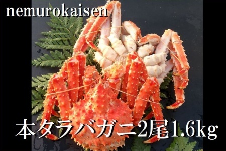 【北海道根室産】本タラバガニ2尾（計1.6kg前後） D-57049