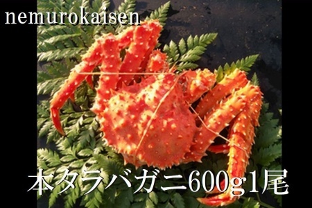 【北海道根室産】本タラバガニ600g前後×1尾 B-57029