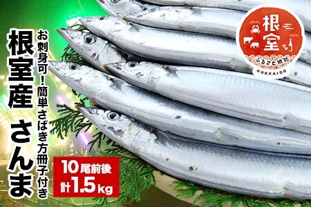【北海道根室産】【生食可】さんま10尾前後入（計1.5kg） G-58001