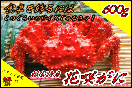 【北海道根室産】ボイル冷凍花咲がに600g×1尾 A-59019
