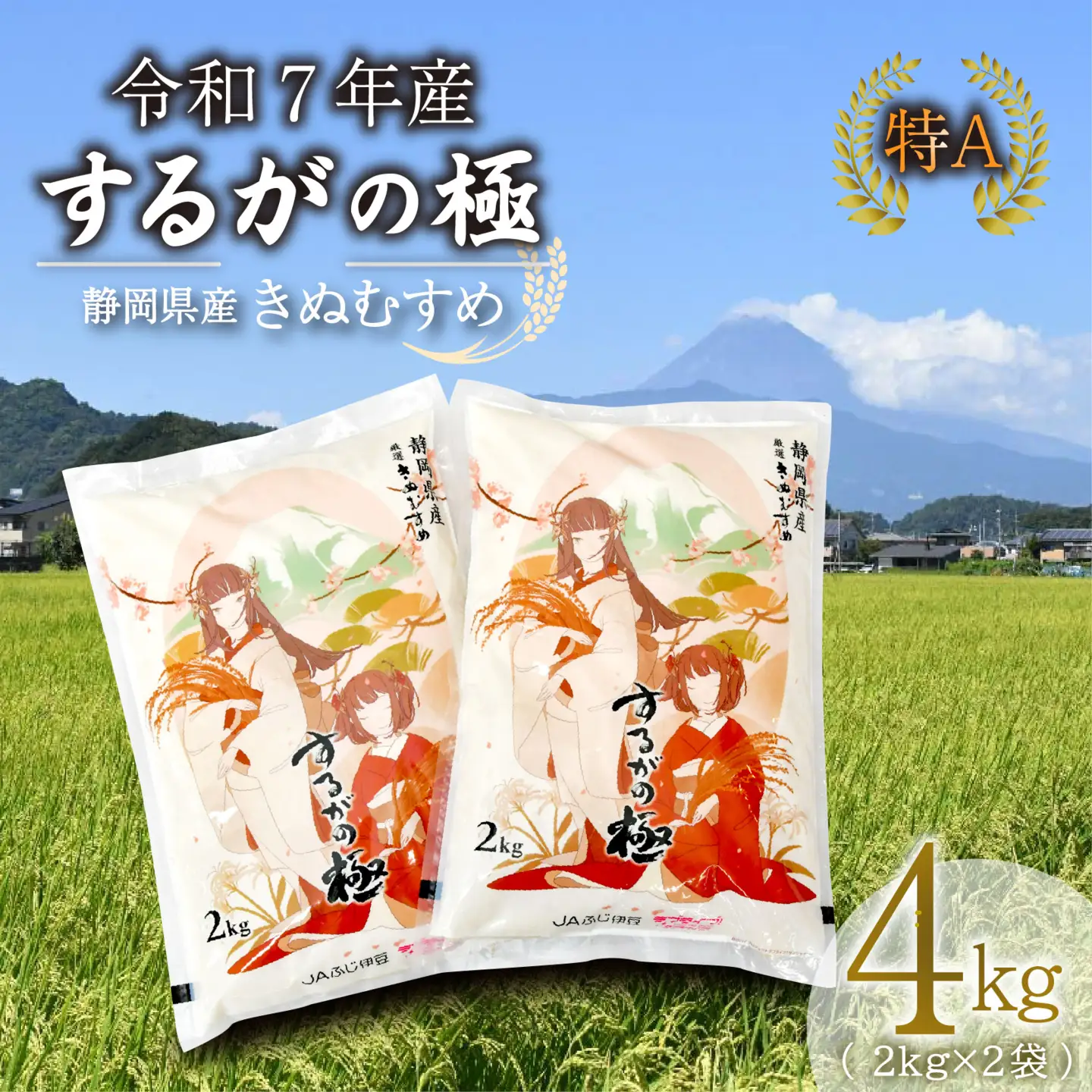 きぬむすめ 4kg 2kg × 2袋 令和7年 するがの極 米 コメ こめ ラブライブ 長泉