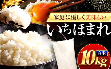 お米 福井県産いちほまれ お米 10kg 小浜市 / 梅田東米穀店[BFEK019]