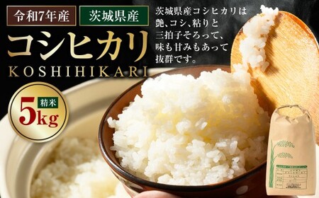 【令和7年産】茨城県産コシヒカリ 5kg	米 お米 おこめ コメ 白米 精米 ご飯 ごはん コシヒカリ こしひかり 茨城県 守谷市