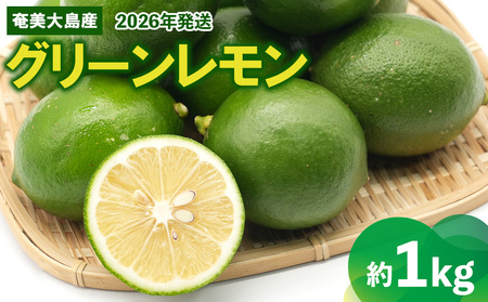 2026年発送【あたり果樹園】奄美大島産 グリーンレモン 約1kg 果物 フルーツ