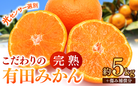 こだわりの 有田 みかん 5kg＋150g(傷み補償分) 【ご家庭用】 ※北海道・沖縄・離島配送不可 ※2027年1月発送予定【nuk004-c-5-janH】 