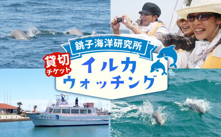 イルカウォッチング