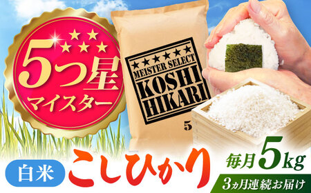 【全3回定期便】令和7年産 こしひかり 白米 5kg / 五つ星お米マイスター厳選 お米 ふるさと納税 A評価 / 佐賀県 / 大塚米穀店 [41ANAD036]