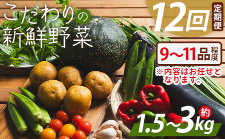 こだわりの新鮮野菜 12回定期 Waf-0006