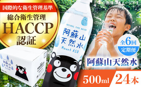 【全6回定期便】阿蘇山天然水 500ml 24本×1ケース 備蓄 BHDG009 備蓄