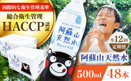 【全12回定期便】阿蘇山天然水 500ml 計48本(24本×2ケース) ペットボトル BHDG018 ペットボトル