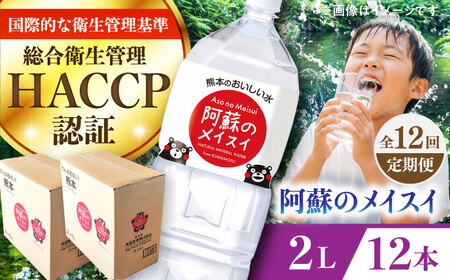 【全12回定期便】 阿蘇のメイスイ 2L 計12本(6本×2ケース) ドリンク BHDG030 ドリンク