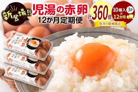 【定期便 12か月】 卵 30個 E253-09