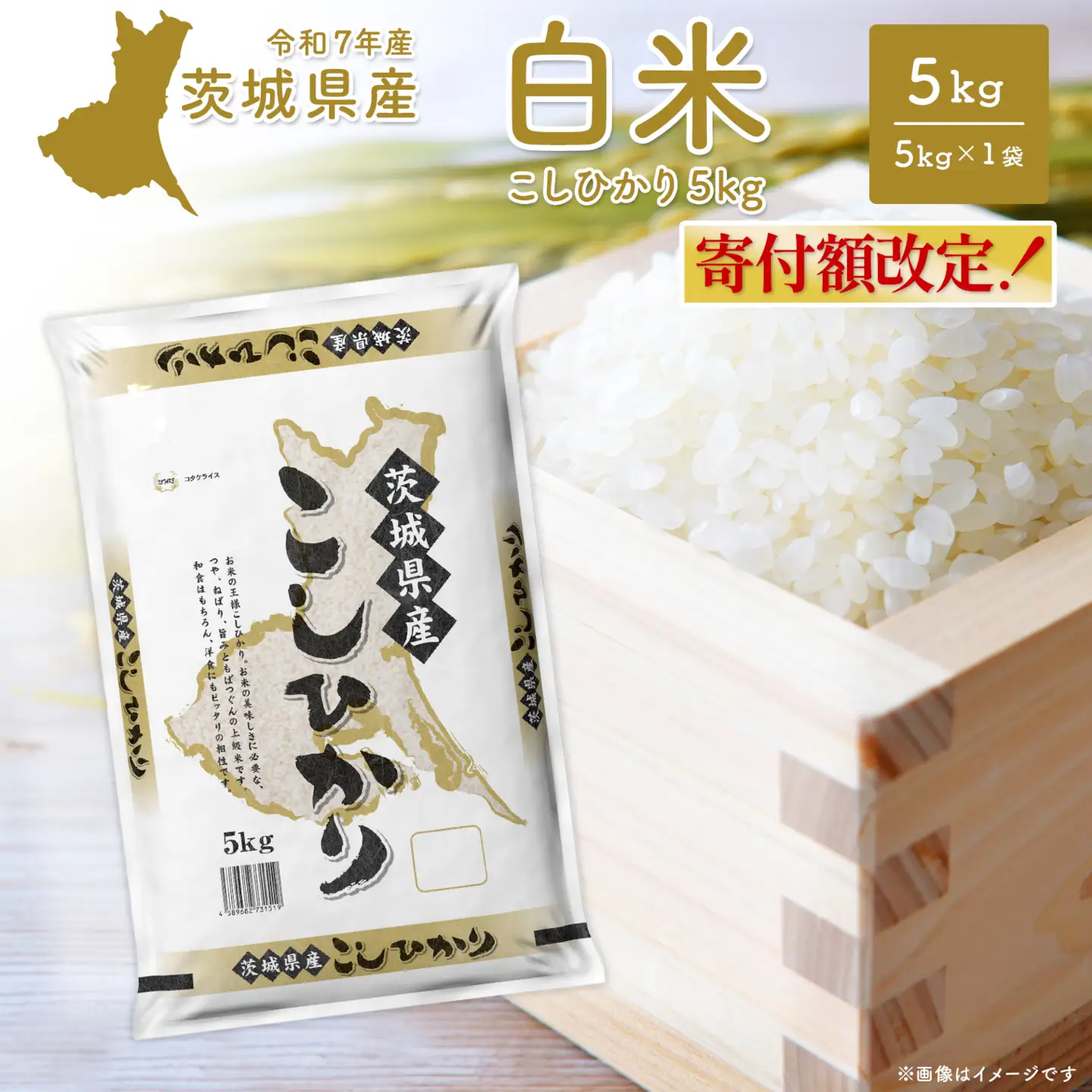 こしひかり 茨城県産 5kg〈令和8年5月内発送〉【令和7年産/白米】茨城県産 米 小分け 2025年産 コシヒカリ K2670