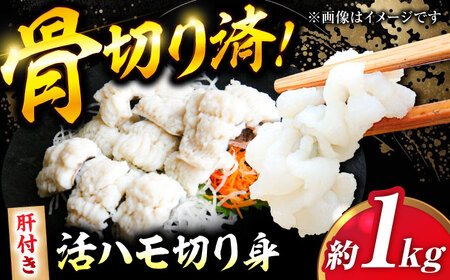 ハモの骨切り 3人前（約1kg）】【2026年5月上旬から順次発送】ハモ 湯引き 鱧[AGBP004]