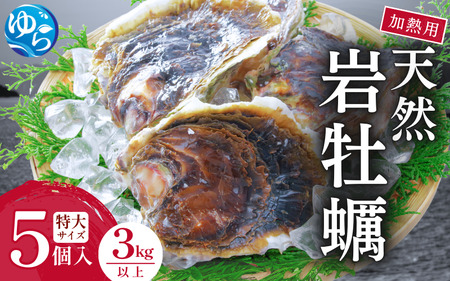 天然岩牡蠣（加熱食用）特大サイズ5個入（3kg以上）【skmn005】