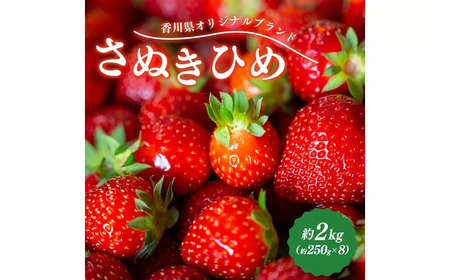 2027年発送 いちご さぬきひめ 約2kg 苺いちご