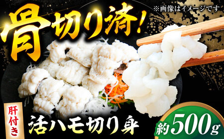ハモの骨切り 2人前（約500g）【2026年5月上旬から順次発送】ハモ 鱧 湯引き [AGBP006]