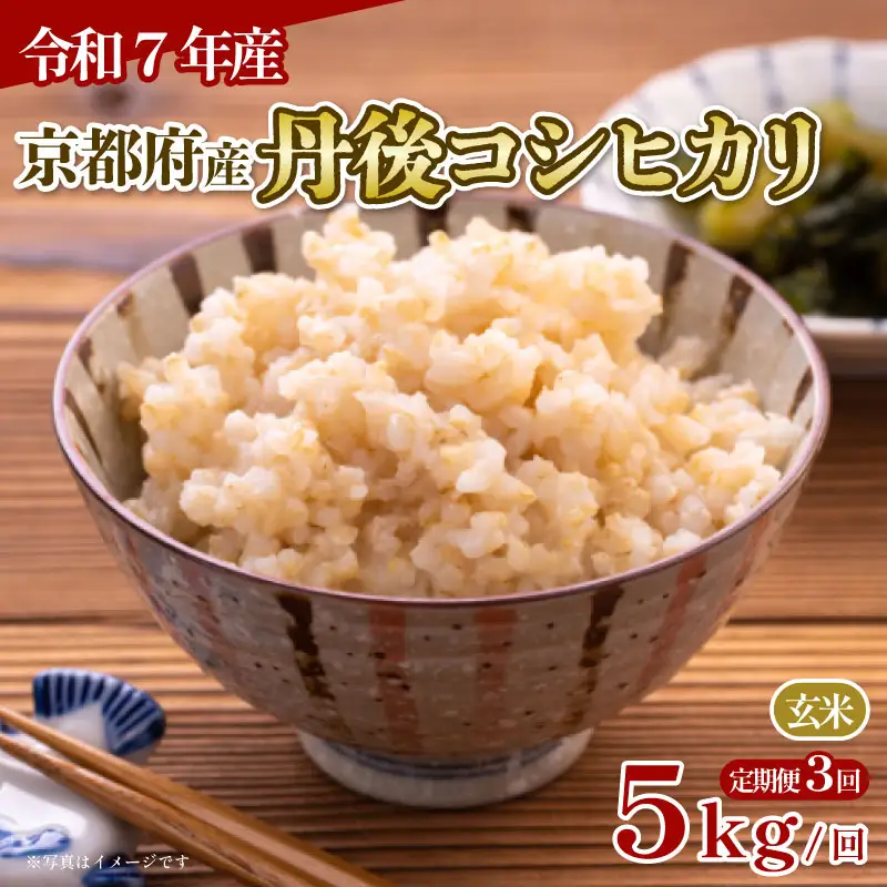 【玄米】定期便 3回 令和7年産 丹後コシヒカリ 玄米 5kg