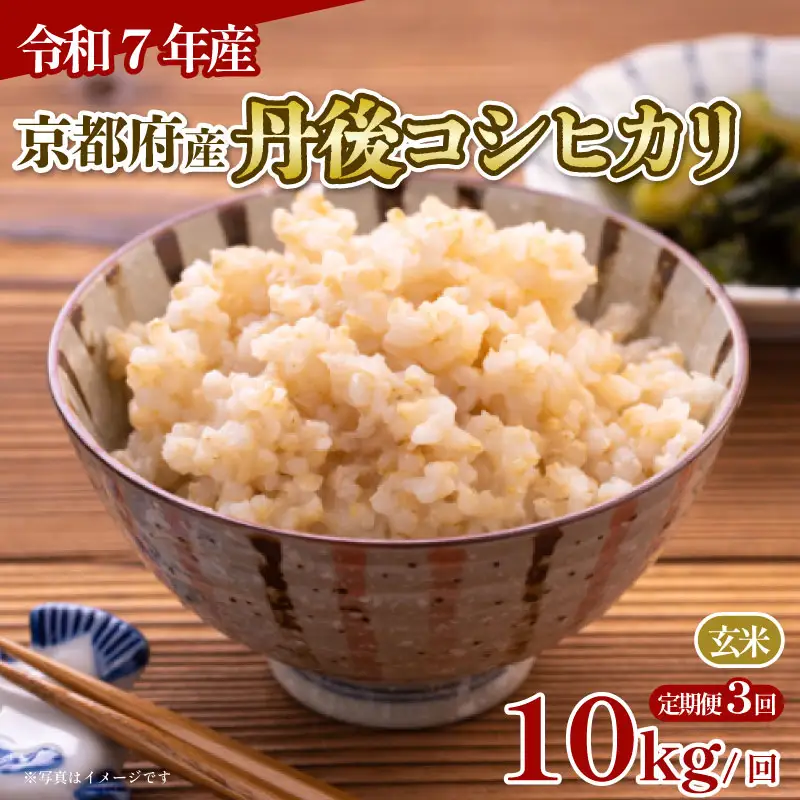 【玄米】定期便 3回 令和7年産 丹後コシヒカリ 玄米 10kg