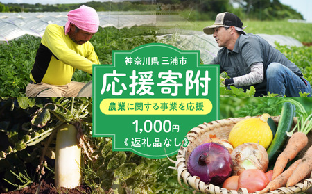 神奈川県 三浦市 【 返礼品なし 】 応援寄附 農業 に関する 事業 を 応援（ 1,000円 ） MN-1000-1 返礼品無 応援