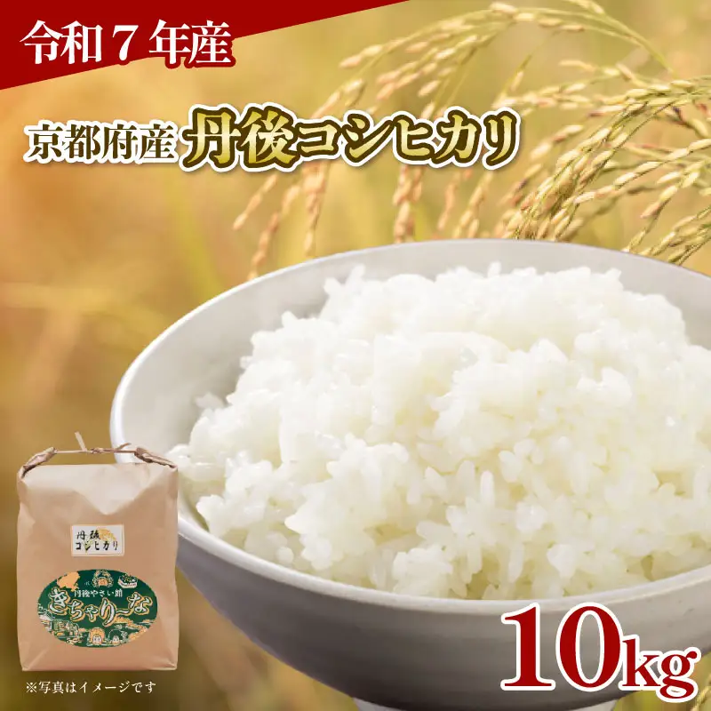 【令和7年産】丹後コシヒカリ 10kg 精米 白米 コシヒカリ