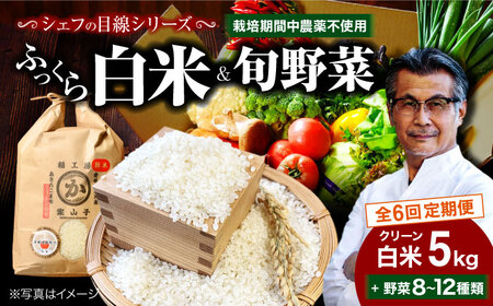 お米 定期便【全6回定期便】白米+旬野菜 お米定期便[AGBX010]