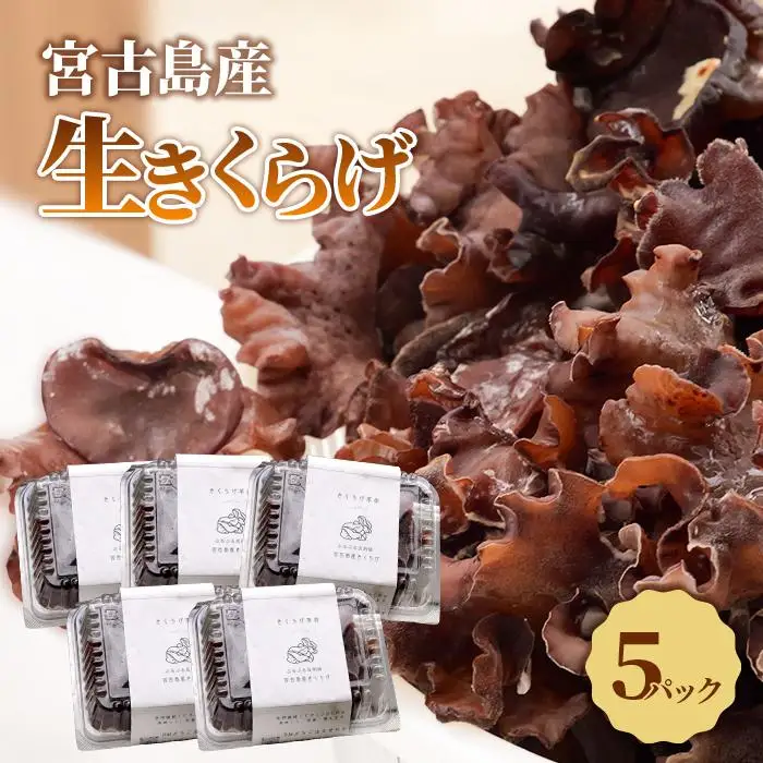 宮古島産生きくらげ（５パック）（KD01）