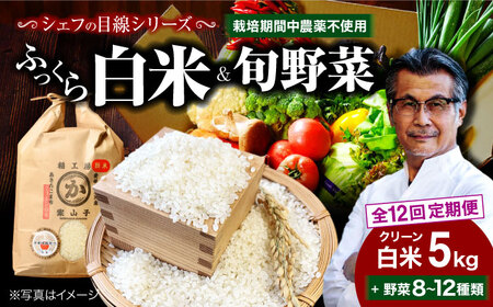 お米 定期便【全12回 】お米 5kg+旬野菜 セット[AGBX011]
