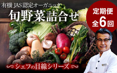 野菜 定期便【全6回】（12-16種） 野菜 セット[AGBX004]