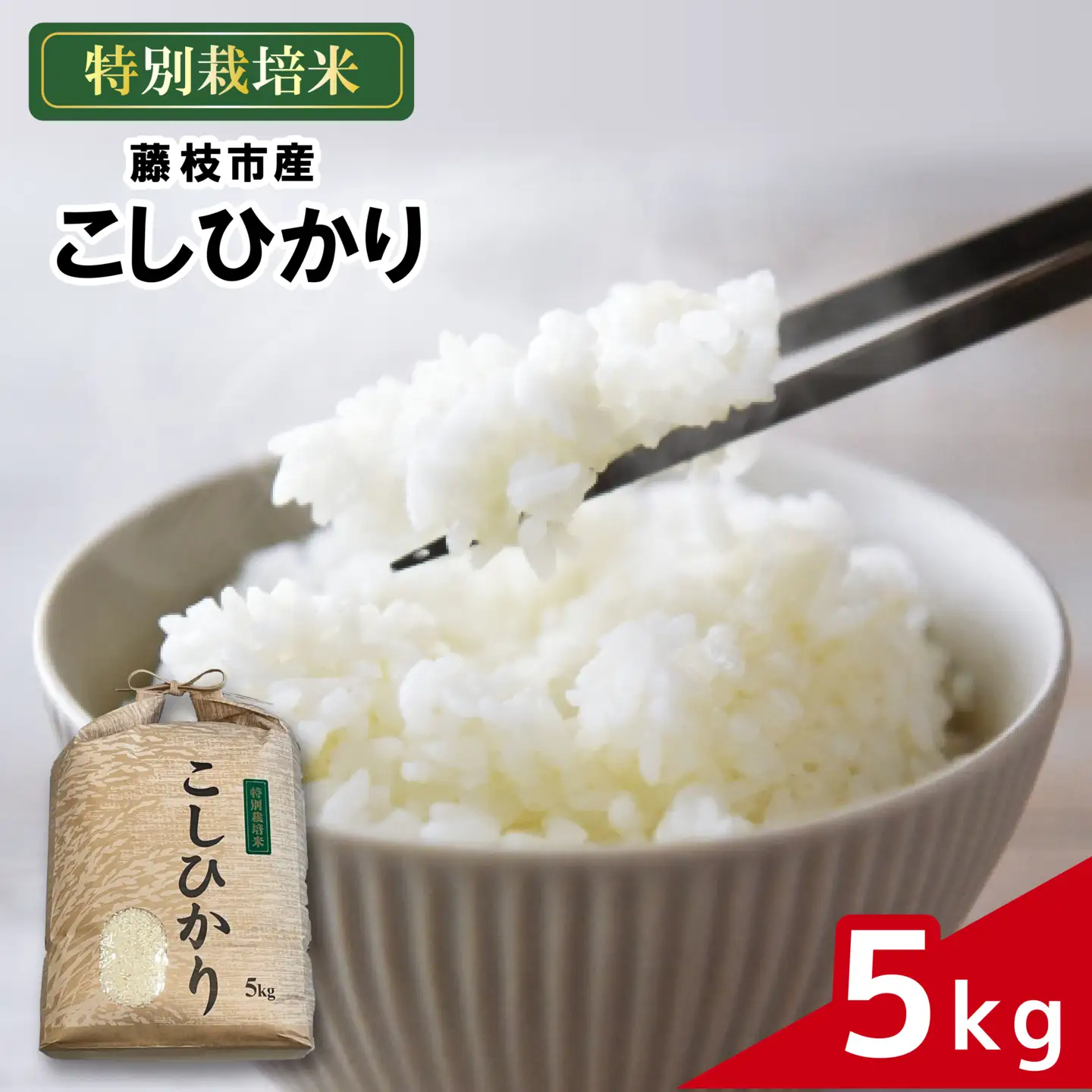 米 こしひかり 5kg 農家直送 特別栽培米 