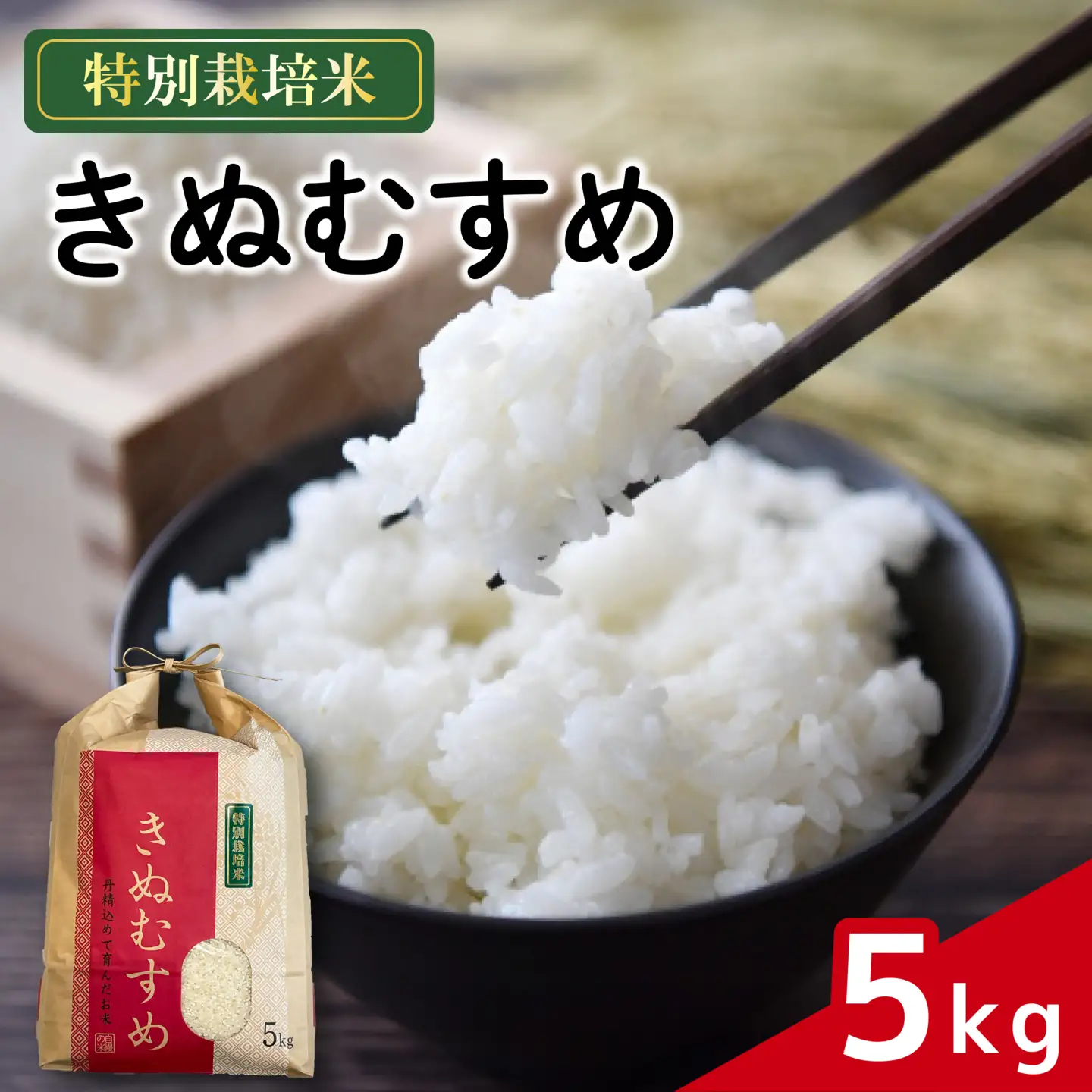米 きぬむすめ 5kg 農家直送 特別栽培米