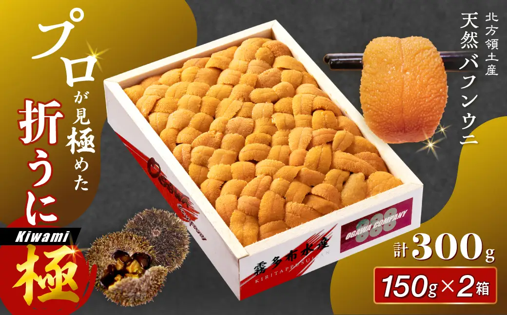 最高級折うに (極) 300g うに_H0014-111