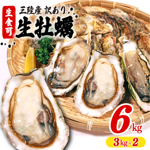 訳あり 生食 殻付き 牡蠣 6kg 冷凍 牡蠣