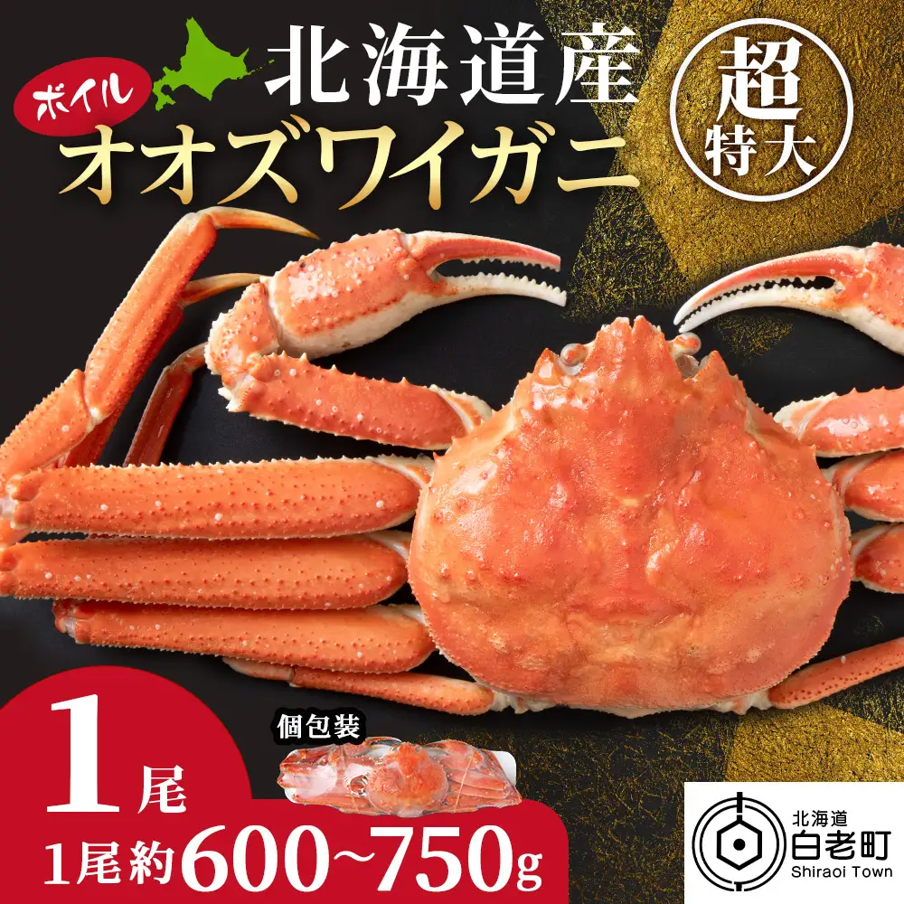 オオズワイガニ姿600ｇ～750ｇ×1尾＜超特大＞ AM188
