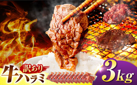 【訳あり×大容量】味付けハラミ 3kg(250ｇ×12パック) / ハラミ 牛肉 焼肉 / 御嵩町 / 馬力家[AVBO073]