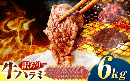 【訳あり×大容量】味付けハラミ 6kg(250ｇ×24パック) / ハラミ 牛肉 焼肉 / 御嵩町 / 馬力家[AVBO074]