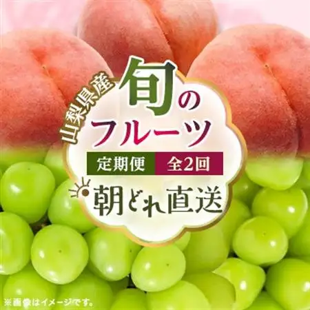 【発送月固定定期便】 旬のフルーツ定期便 桃900g・シャイン500g全2回【配送不可地域：離島・沖縄県】【4078906】