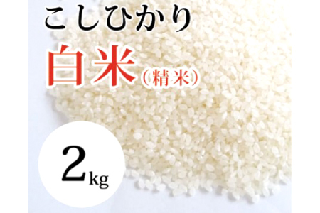 大山の一粒 白米 2kg【米 2kg 2キロ こめ コメ 先行予約 お米 白米 精米 こしひかり コシヒカリ ごはん ライス kome 国産 お取り寄せ 鳥取県 大山町】