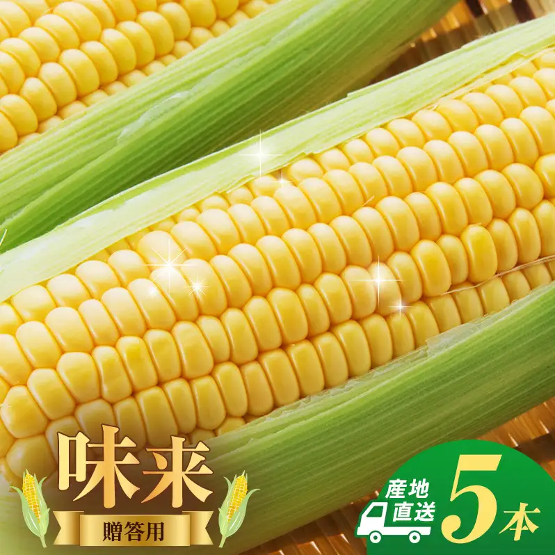 とうもろこし 味来 贈答用 5本 トウモロコシ 宮城県産 甘い 夏 朝採れ 産地直送 宮城県 大河原町