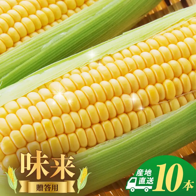 とうもろこし 味来 贈答用 10本 トウモロコシ 宮城県産 甘い 夏 朝採れ 産地直送 宮城県 大河原町