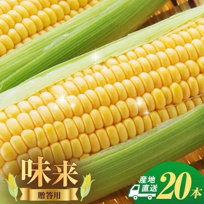 とうもろこし 味来 贈答用 20本 トウモロコシ 宮城県産 甘い 夏 朝採れ 産地直送 宮城県 大河原町