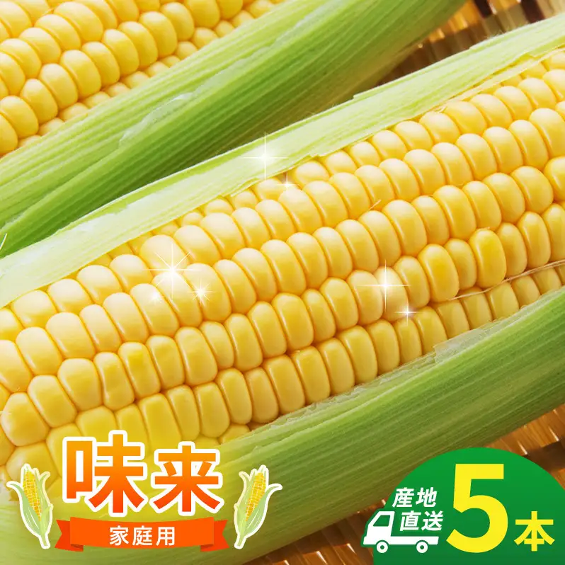 とうもろこし 味来 家庭用 5本 訳アリ トウモロコシ 宮城県産 甘い 夏 朝採れ 訳あり 産地直送 宮城県 大河原町