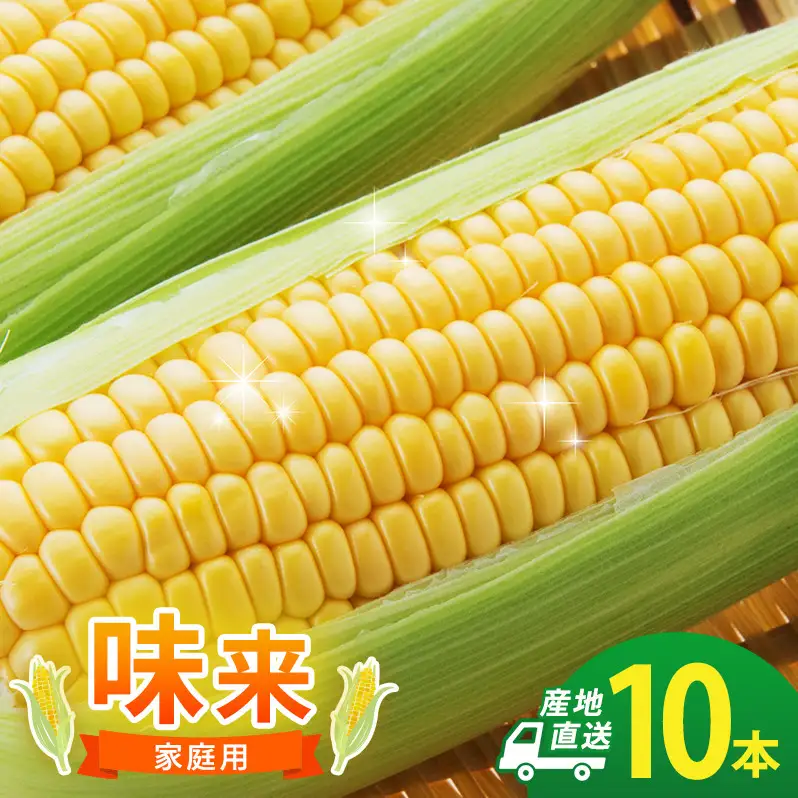 とうもろこし 味来 家庭用 10本 訳アリ トウモロコシ 宮城県産 甘い 夏 朝採れ 訳あり 産地直送 宮城県 大河原町