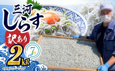 訳あり モリモリ2kg！バラエティ豊富な三河しらす～海の仲間たち～ 魚介類 しらす シラス 国産 海の幸 ご飯のお供 おつまみ しらす丼 グルメ やみつき 冷凍　H018-040