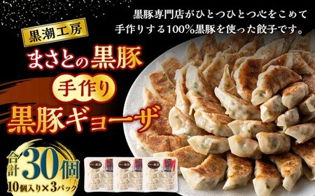 ＜黒豚手作りギョーザセット 30個＞2か月以内に順次出荷 220g×3パック ギョウザ 餃子 ぎょうざ 黒豚 惣菜 おかず 冷凍 宮崎県 高鍋町【c1527_ks】